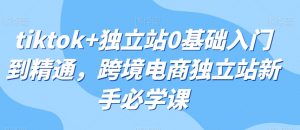 tiktok+独立站0基础入门到精通,跨境电商独立站新手必学课-第一资源库