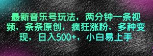 最新音乐号玩法,两分钟一条视频,条条原创,疯狂涨粉,多种变现,日入500+,小白易上手【揭秘】-第一资源库