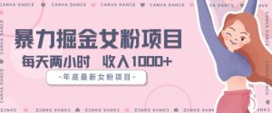 年底暴力女粉掘金项目5天变现1.5W+【揭秘】-互联网资源大全网