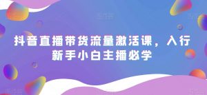 抖音直播带货流量激活课,入行新手小白主播必学-第一资源库