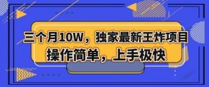 三个月10W,独家最新王炸项目!操作简单,上手极快【揭秘】-互联网资源大全网