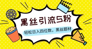S粉变现，轻松日入四位数，黑丝题材+情感话术【揭秘】-第一资源库
