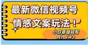 微信视频号情感文案最新玩法，小白轻松月入1万+无脑搬运【揭秘】-互联网资源大全网