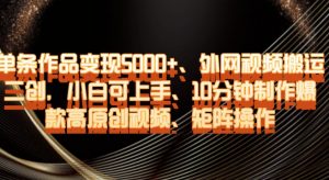 单条作品变现5000+、外网视频搬运二创,小白可上手,10分钟制作爆款高原创视频,矩阵操作【揭秘】-第一资源库
