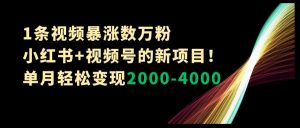 1条视频暴涨数万粉–小红书+视频号的新项目！单月轻松变现2000-4000【揭秘】-互联网资源大全网