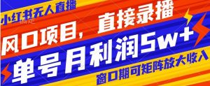 风口项目,小红书无人直播带货,直接录播,可矩阵,月入5w+【揭秘】-互联网资源大全网