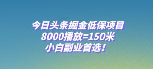 今日头条掘金低保项目，8000播放=150米，小白副业首选【揭秘】-互联网资源大全网