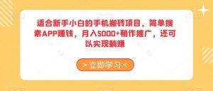 适合新手小白的手机搬砖项目，简单搜素APP赚钱，月入5000+稍作推广，还可以实现躺赚【揭秘】-第一资源库