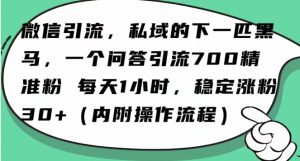 怎么搞精准创业粉?微信新赛道,每天一小时,利用Ai一个问答日引100精准粉-互联网资源大全网