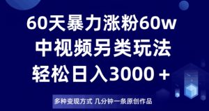 60天暴力涨粉60W,中视频另类玩法,日入3000+,几分钟一条原创作品多种变现方式-第一资源库