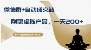 十万个富翁修炼宝典之8.微信群+自动成交站,刚需虚拟产品,一天200+-互联网资源大全网