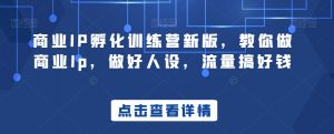 商业IP孵化训练营新版,教你做商业Ip,做好人设,流量搞好钱-互联网资源大全网