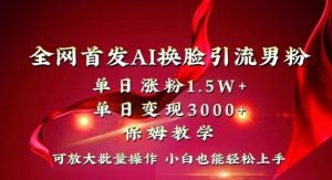 全网首发Ai换脸引流男粉，单日涨粉1.5w+，单日变现3000+，小白也能轻松上手拿结果【揭秘】-互联网资源大全网