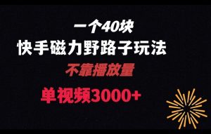 一个40块，快手联合美团磁力新玩法，无视机制野路子玩法，单视频收益4位数【揭秘】-互联网资源大全网