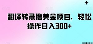 翻译转录撸美金项目,轻松操作日入300+【揭秘】-互联网资源大全网