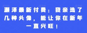 灏泽最新付费:我亲选了几种头像,能让你在新年一直兴旺!-互联网资源大全网