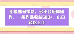 明星账号带货，多平台矩阵操作，一条作品收益500+，小白轻松上手【揭秘】-互联网资源大全网