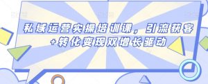 私域运营实操培训课,引流获客+转化变现双增长驱动-互联网资源大全网