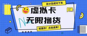 虚拟卡无限撸货，百分百成功下车【仅揭秘】-互联网资源大全网