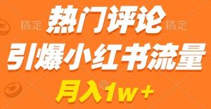 热门评论引爆小红书流量，作品制作简单，商单接到手软【揭秘】-互联网资源大全网