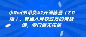 小Red书带货42天训练营(2.0版),普通人月收过万的带货课,零门槛无压货-互联网资源大全网