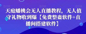 天庭蟠桃会无人直播教程，无人值守礼物收到爆【免费整蛊软件+直播间搭建软件】-互联网资源大全网