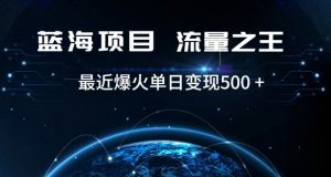 好评返现项目,稳定,小白速学月入过万【仅揭秘】-互联网资源大全网