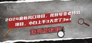 2024最新风口项目,视频号变老特效项目,电脑小白上手3天卖了3w+,保姆级教程【揭秘】-第一资源库