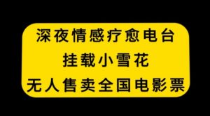 深夜情感疗愈电台,挂载小雪花,无人售卖全国电影票【揭秘】-互联网资源大全网