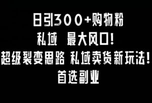 日引300+购物粉，超级裂变思路，私域卖货新玩法，小红书首选副业【揭秘】-互联网资源大全网