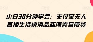 小白30分钟学会：支付宝无人直播生活快消品蓝海类目带货【揭秘】-互联网资源大全网