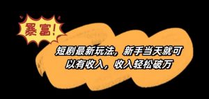 短剧最新玩法,新手当天就可以有收入,收入轻松破万【揭秘】-互联网资源大全网
