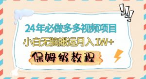 人人都能操作的蓝海多多视频带货项目,小白无脑搬运月入10000+【揭秘】-互联网资源大全网