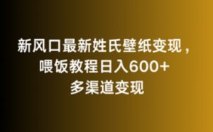 新风口最新姓氏壁纸变现，喂饭教程日入600+【揭秘】-互联网资源大全网