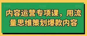 内容运营专项课,用流量思维策划爆款内容-互联网资源大全网