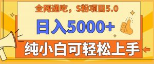 男粉项目5.0，最新野路子，纯小白可操作，有手就行，无脑照抄，纯保姆教学【揭秘】-互联网资源大全网