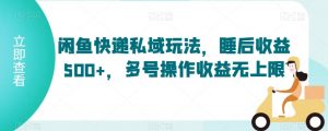闲鱼快递私域玩法，睡后收益500+，多号操作收益无上限【揭秘】-互联网资源大全网