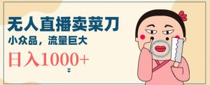 无人冷门品直播新玩法,通过卖菜刀日入1000+【揭秘】-第一资源库
