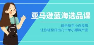 亚马逊-蓝海选品课:适合新手小白卖家,让你轻松日出几十单小爆款产品-互联网资源大全网