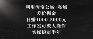 利用淘宝公域+私域差价掘金，日赚1000-5000元，工作室可放大操作，实操稳定半年【揭秘】-互联网资源大全网
