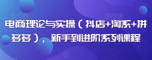电商理论与实操(抖店+淘系+拼多多),新手到进阶系列课程-互联网资源大全网