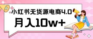 小红书新电商实战，无货源实操从0到1月入10w+联合抖音放大收益【揭秘】-互联网资源大全网