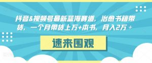 抖音&视频号最新蓝海赛道,治愈书籍带货,一个月带货上万+本书,月入2万+【揭秘】-互联网资源大全网