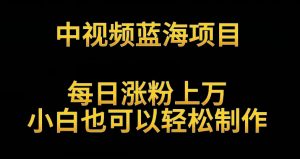 中视频蓝海项目，解读英雄人物生平，每日涨粉上万，小白也可以轻松制作，月入过万不是梦【揭秘】-互联网资源大全网