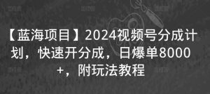 【蓝海项目】2024视频号分成计划，快速开分成，日爆单8000+，附玩法教程-互联网资源大全网