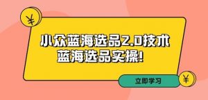 拼多多培训第33期:小众蓝海选品2.0技术-蓝海选品实操!-第一资源库