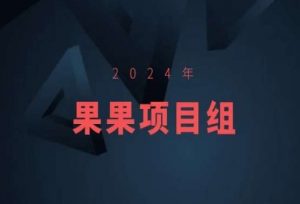 2024年果果项目组项目合集-果果最新项目-互联网资源大全网