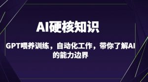 AI硬核知识-GPT喂养训练，自动化工作，带你了解AI的能力边界（10节课）-互联网资源大全网