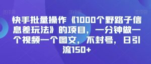 快手批量操作《1000个野路子信息差玩法》的项目,一分钟做一个视频一个图文,不封号,日引流150+【揭秘】-互联网资源大全网