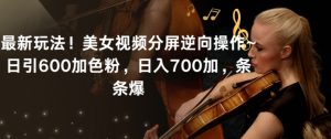最新玩法！美女视频分屏逆向操作~日引600加色粉，日入700加，条条爆【揭秘】-互联网资源大全网